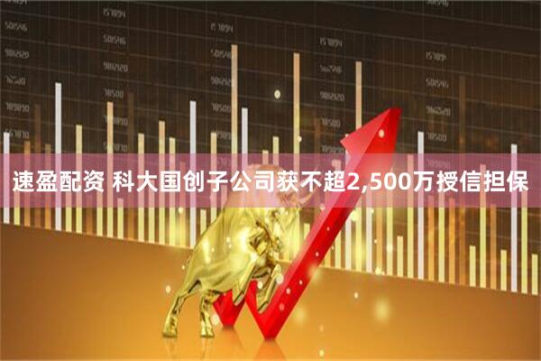 速盈配资 科大国创子公司获不超2,500万授信担保