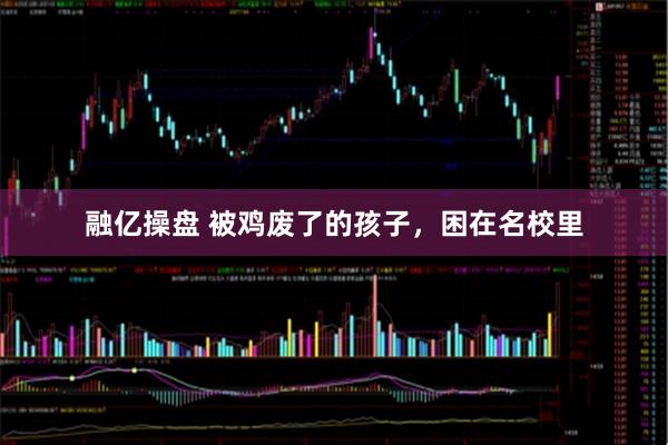 融亿操盘 被鸡废了的孩子，困在名校里