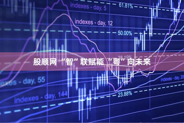 股顺网 “智”联赋能 “粤”向未来