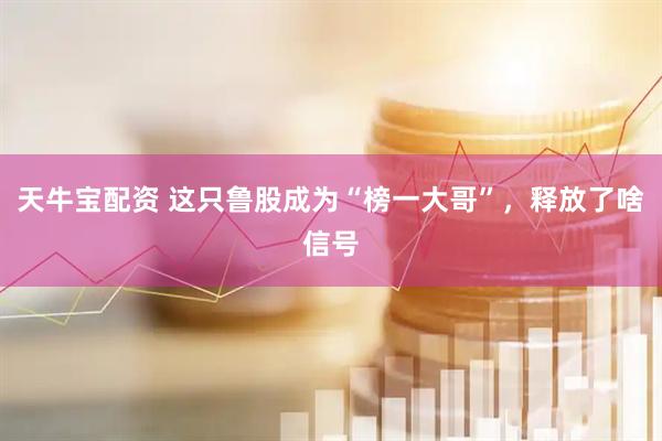 天牛宝配资 这只鲁股成为“榜一大哥”，释放了啥信号