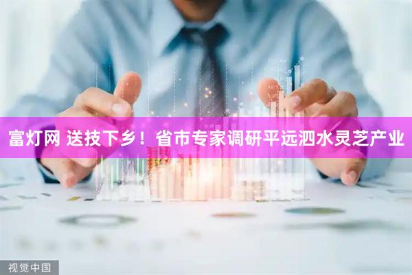 富灯网 送技下乡！省市专家调研平远泗水灵芝产业
