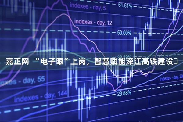 嘉正网  “电子眼”上岗，智慧赋能深江高铁建设​