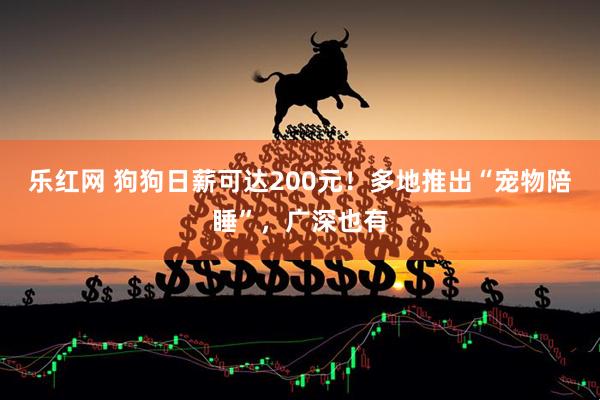 乐红网 狗狗日薪可达200元！多地推出“宠物陪睡”，广深也有