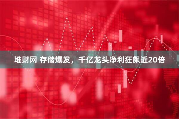 堆财网 存储爆发,千亿龙头净利狂飙近20倍