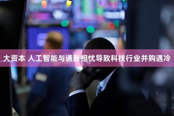 大资本 人工智能与通胀担忧导致科技行业并购遇冷