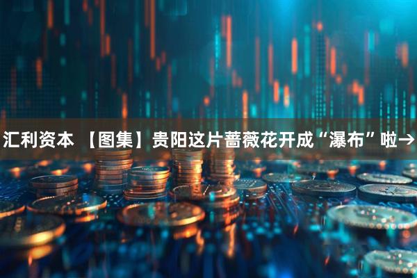 汇利资本 【图集】贵阳这片蔷薇花开成“瀑布”啦→