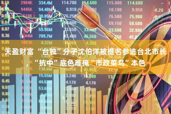 天盈财富 “台独”分子沈伯洋被提名参选台北市长，“抗中”底色难掩“市政菜鸟”本色